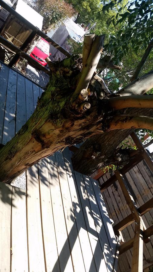 Mi Pesadilla Salinas Home Екстер'єр фото