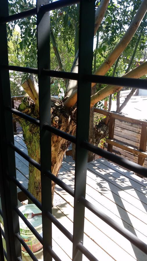 Mi Pesadilla Salinas Home Екстер'єр фото