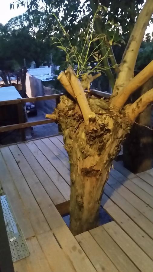 Mi Pesadilla Salinas Home Екстер'єр фото